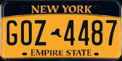 NY license plate GOZ4487