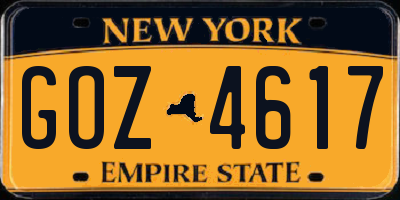 NY license plate GOZ4617