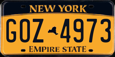 NY license plate GOZ4973