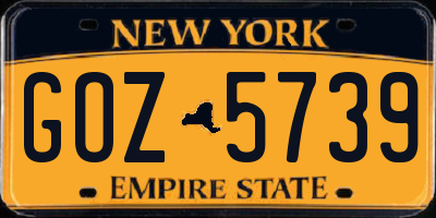 NY license plate GOZ5739