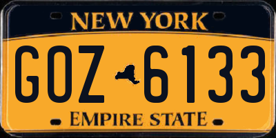 NY license plate GOZ6133