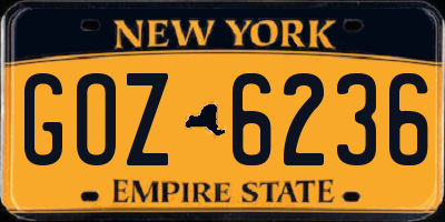 NY license plate GOZ6236