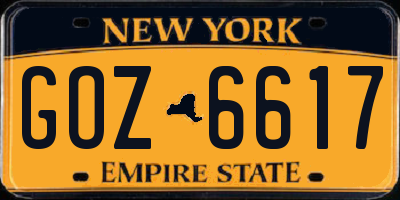 NY license plate GOZ6617