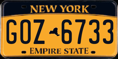 NY license plate GOZ6733