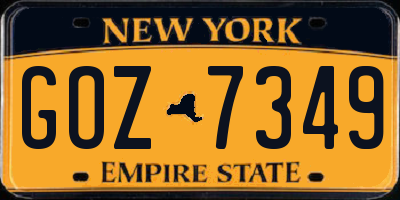 NY license plate GOZ7349
