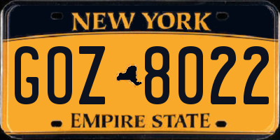 NY license plate GOZ8022