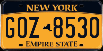NY license plate GOZ8530