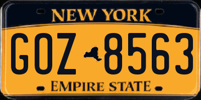 NY license plate GOZ8563