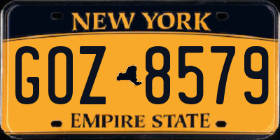NY license plate GOZ8579