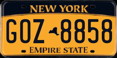 NY license plate GOZ8858