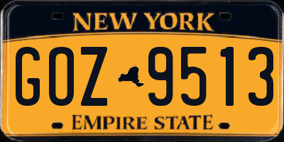 NY license plate GOZ9513