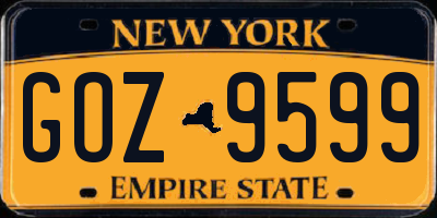 NY license plate GOZ9599