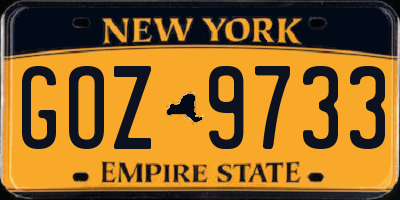 NY license plate GOZ9733