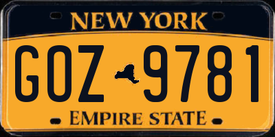 NY license plate GOZ9781