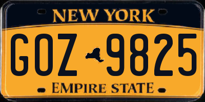 NY license plate GOZ9825