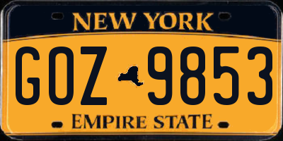 NY license plate GOZ9853