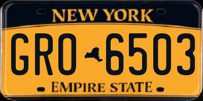 NY license plate GRO6503