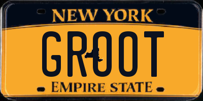 NY license plate GROOT