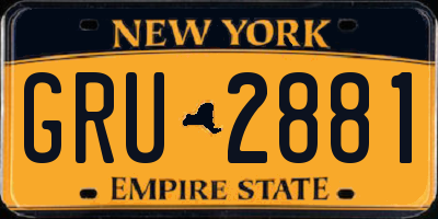 NY license plate GRU2881
