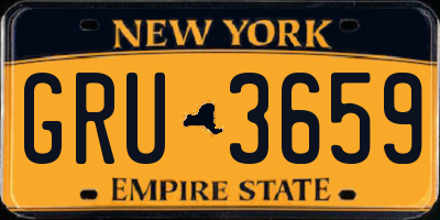 NY license plate GRU3659