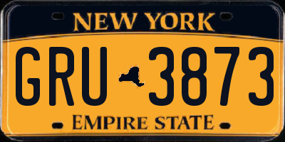 NY license plate GRU3873
