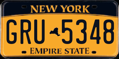 NY license plate GRU5348