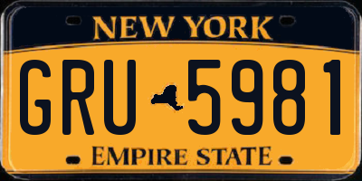 NY license plate GRU5981