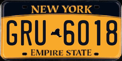 NY license plate GRU6018