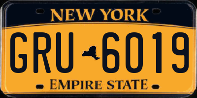 NY license plate GRU6019