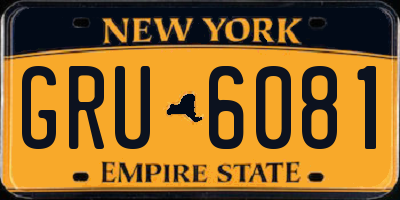NY license plate GRU6081