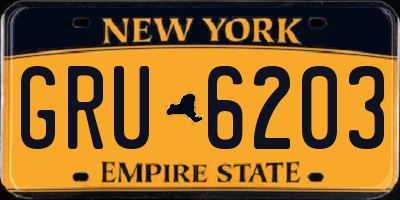 NY license plate GRU6203
