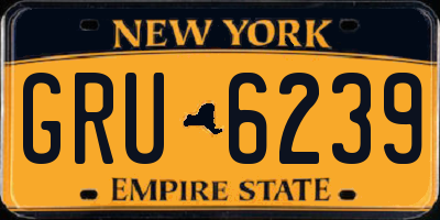 NY license plate GRU6239