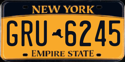 NY license plate GRU6245