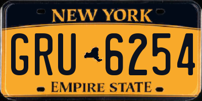 NY license plate GRU6254