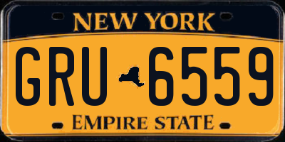 NY license plate GRU6559