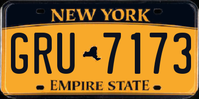 NY license plate GRU7173