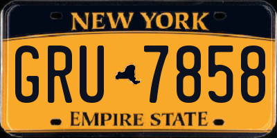 NY license plate GRU7858