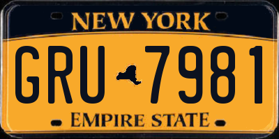 NY license plate GRU7981