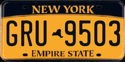 NY license plate GRU9503