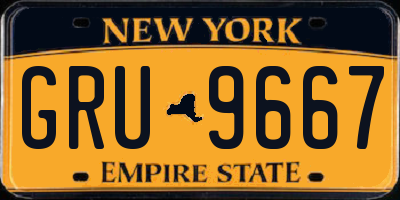 NY license plate GRU9667