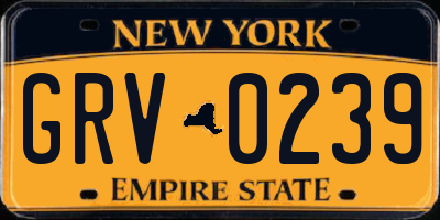 NY license plate GRV0239