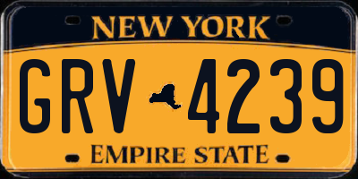 NY license plate GRV4239