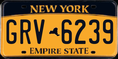 NY license plate GRV6239