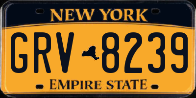 NY license plate GRV8239
