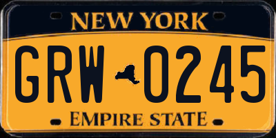 NY license plate GRW0245