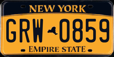 NY license plate GRW0859