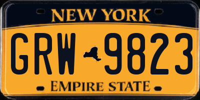 NY license plate GRW9823