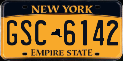 NY license plate GSC6142
