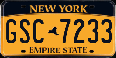 NY license plate GSC7233