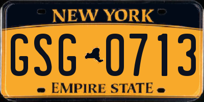 NY license plate GSG0713